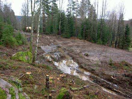 Fortsättning på återställand av skada 4. Allvarliga körskador ska återställas om återställandet inte innebär en ökad negativ påverkan på vattenkvaliteten.