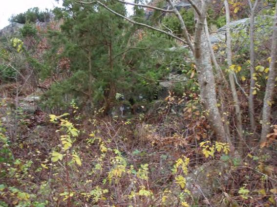 till en naturlig bergslänt. Slänten har några lösa block nedanför befintligt hus samt nordväst om huset men bedöms stabila i dagsläget.