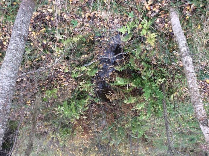 Naturvärdesobjekt 2 Vattendrag Vattendrag/dike Visst biotopvärde Obetydligt Öppet rinnande vatten och en varierad markfuktighet gynnar bl.a. groddjur och vattenlevande insekter.