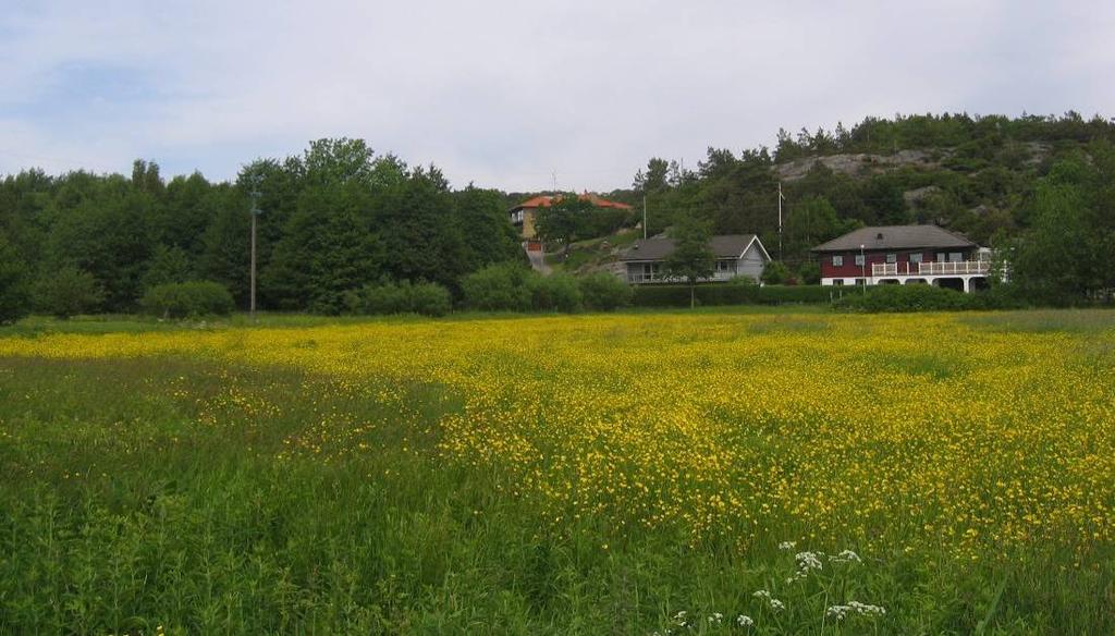 Översyn av planförslaget i sin helhet bl a gränserna mellan allmänna platser och kvarter, byggrätter, vägdragningar bestämmelser mm.