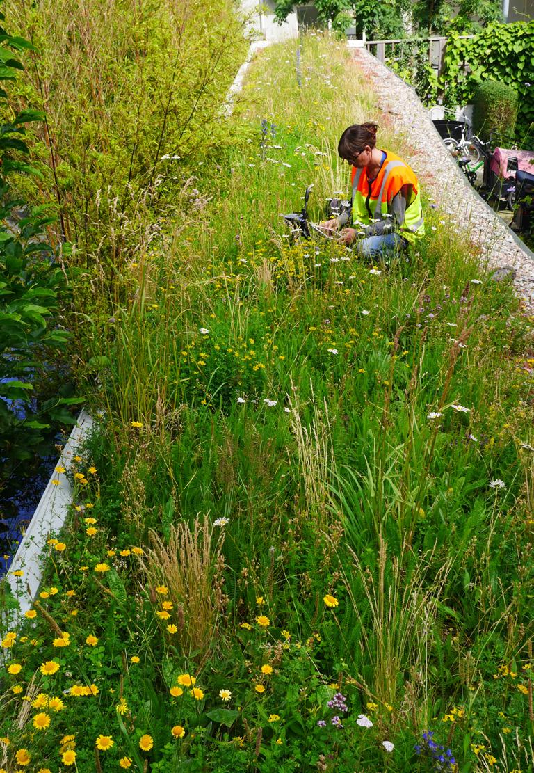 Med biotop menas ett område som avgränsas av en uppsättning miljöförutsättningar och den vegetation som växer under dessa förutsättningar.