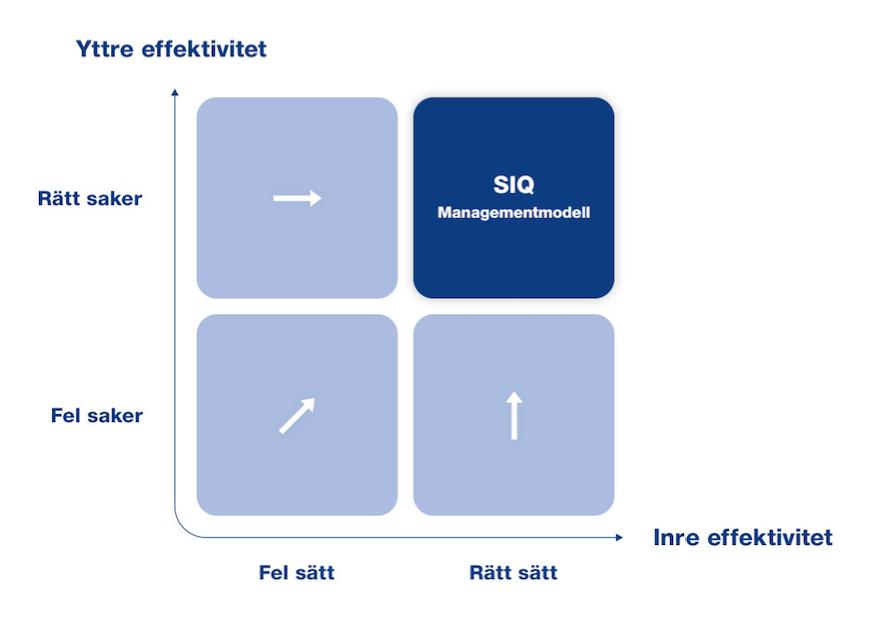 Bild 1. Balansen mellan organisationens inre och yttre effektivitet.