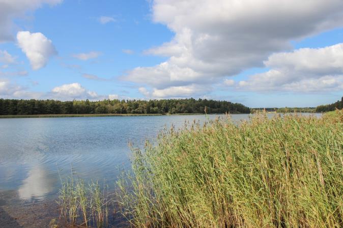 Här bor du i ett naturnära läge med några hundra meter till vattnet. Vid vattnet finns en mindre strand och en brygga. Tomterna får bebyggas med egnahemshus, par- eller radhus upp till 2 1/2-våningar.