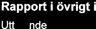 Styrelsens verkställande drektörens ansvar Det är styrelsen verkställande drektören har ansvaret för förvaltnngen.