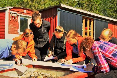 HAV OCH TUR Hav och tursektionen har under året genomfört dagsturer, nattpaddling, utbildningar och säkerhetskurser. Under vinter och höst höll vi teknikträning i Storsjöhallens bassäng i Holmsund.