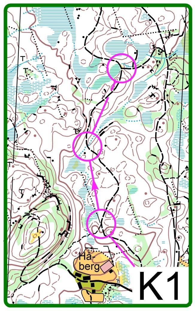 Grön nivå K 1.