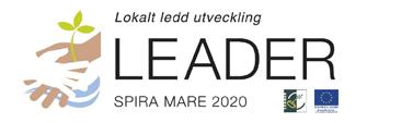 Offentlig a Entreprenörskap på landsbygden - Åtgärd 1.