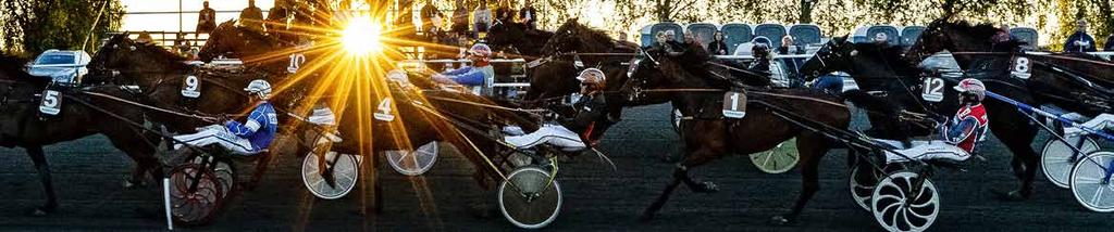 TIPS Av Solvalla Lopp 5 analysen... 9 Shorthanded Jag 9 SHORTHANDED 0 Einstein Sisu JAG har övertygat i ny regi såhär långt och 5 Vikings Preacher är hästen att slå.