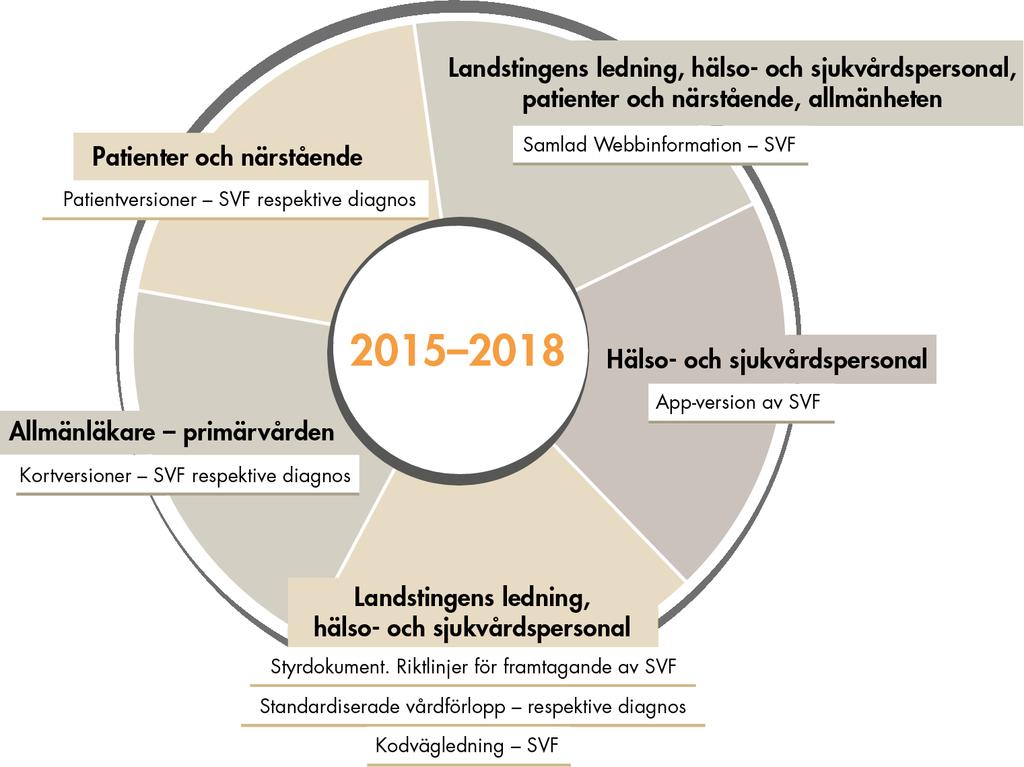 tillgång till stöd och uppföljning. I figur 6 ges exempel på olika typer av stöd som tagits fram och använts av olika målgrupper i landsting och regioner. Figur 6.