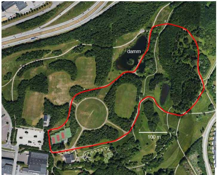 Tabell 11. Resultaten från inventeringar av fladdermöss från åren 2008, 2013 och 2016 i Beijers park, Malmö stad.