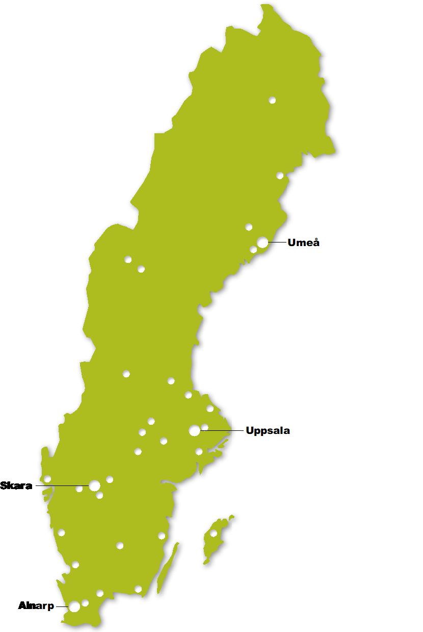 Sveriges längsta universitet med campus på fyra ställen Umeå (S-fak, NJ-fak, VH-fak) Ultuna (NJ-fak, VH-fak, S-fak, LTV-fak) Skara (VH-fak, NJ-fak) Alnarp (LTV-fak, S-fak, VH-fak)