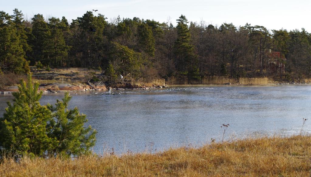 Aqua reports 218:8 Biologisk recipientkontroll vid Oskarshamns