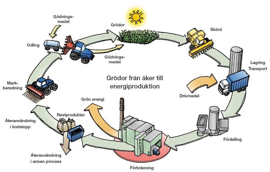 Identifiering av energiverkens merkostnader vid förbränning av åkerbränslen samt lantbrukarens möjlighet att påverka bränslekvaliteten Projekt på uppdrag av Värmeforsk Grödor från åker till energi