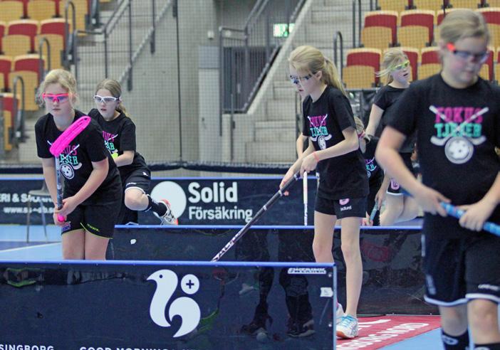) skånska tjejer på år invaderade Helsingborg Arena för att träna, träffa både nya och gamla kompisar samt spela en kul mini-turnering.