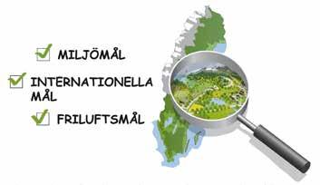 Figur 2. Arbetet med grön infrastruktur är en förutsättning för att Sverige ska uppfylla nationella miljö- och friluftsmål och internationella åtaganden. 2 Förhållande till andra processer A.