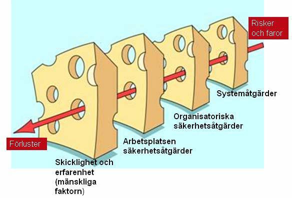 Cheese Model