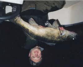 SMÅLÄNDSKA SPECIMENTÄVLINGEN 2003 Augustirapporten Månadens fisk Tyvärr har det inte kommit in någon bild eller fångstberättelse på månadens fisk för juli.
