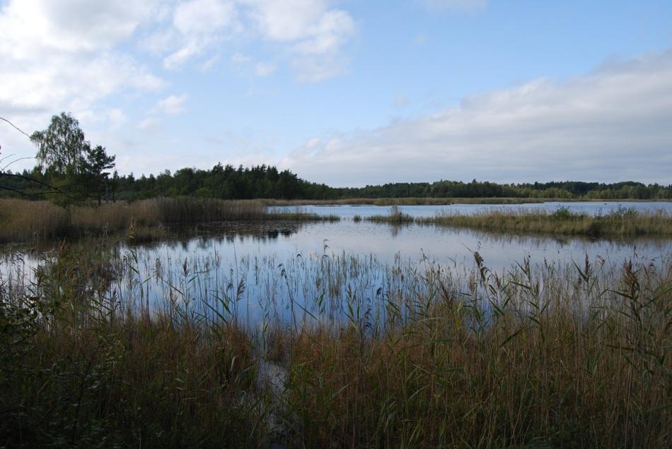 NORET Sjönamn: Noret Kommun: Kristinehamn Area (km²): 2.249 Höjd över havet: Omkr.