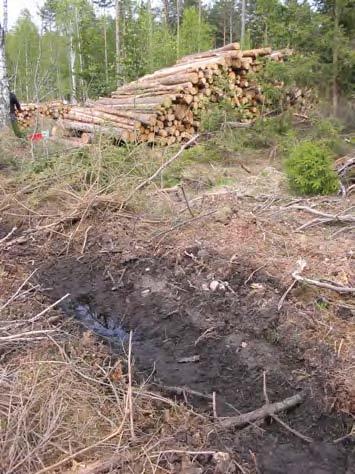 Lokal 5 - nära Krontorp, norr om Kårarp och väg 117 (bottenfauna- och sedimentprov) Vattendraget lämpade