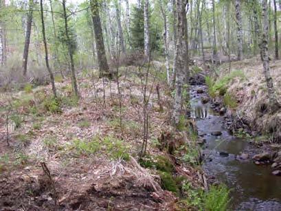 mot vattendraget. Vid lokalen nedströms vältan bestod bottensubstratet främst av sand och grus.