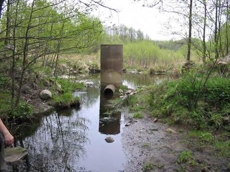 Bild 2C. Vid uppströms lokalen vid Hasslöv fanns en riven/bortspolad damm.