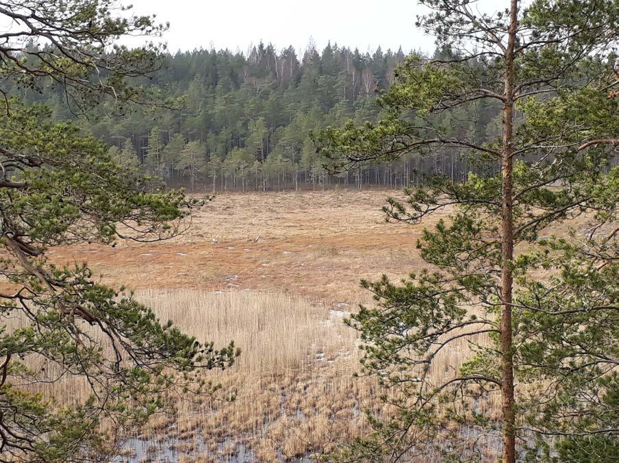 11(1 4) 4c) Foto från den östligaste värdekärnan ner mot myren.