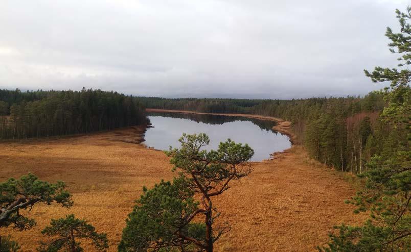 Bilaga 2 Natur- och miljöenheten 1(14) Ingrid Nilsson 010-223 40 00 Skötselplan för Marsjöns naturreservat Foto: Ingrid Nilsson Postadress Besöksadress Telefon Telefax E-post 611 86 NYKÖPING Stora