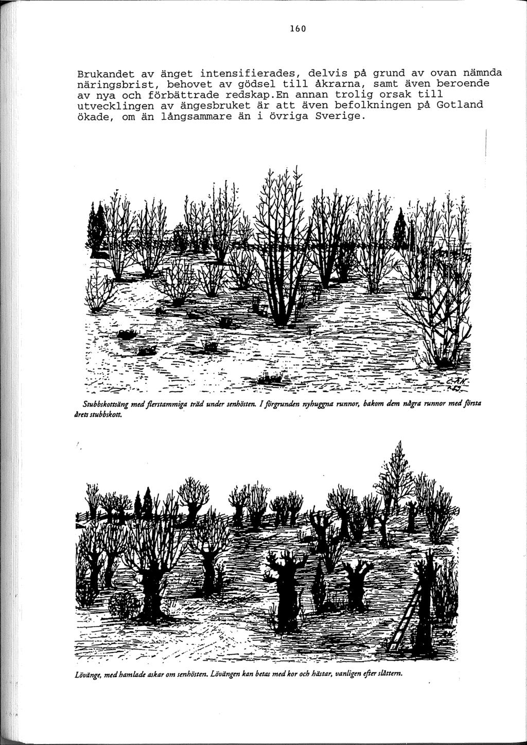 --~------------------------------------- 160 Brukandet av änget intensifierades, delvis på grund av ovan nämnda näringsbrist, behovet av gödsel till åkrarna, samt även beroende av nya och förbättrade