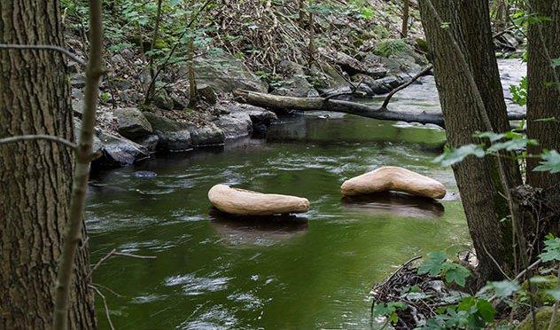 Foto: Växjö kommun Kronoberg ska vara ledande i