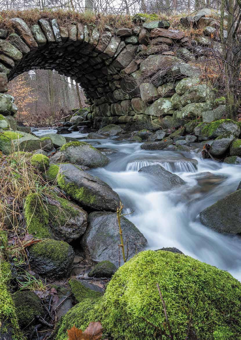 Delområde Ottarp Antagen av kommunfullmäktige 12 juni 2018.