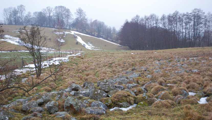 Gluggstorp Vid Gluggstorp längs järnvägen finns det en mindre naturbetesmark.