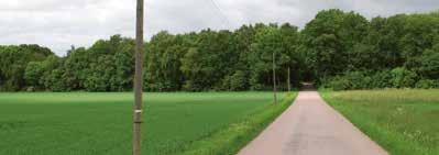 Enligt Skånska rekognosceringskartan från 1810 var det slåtteräng på platsen där skogen nu finns.