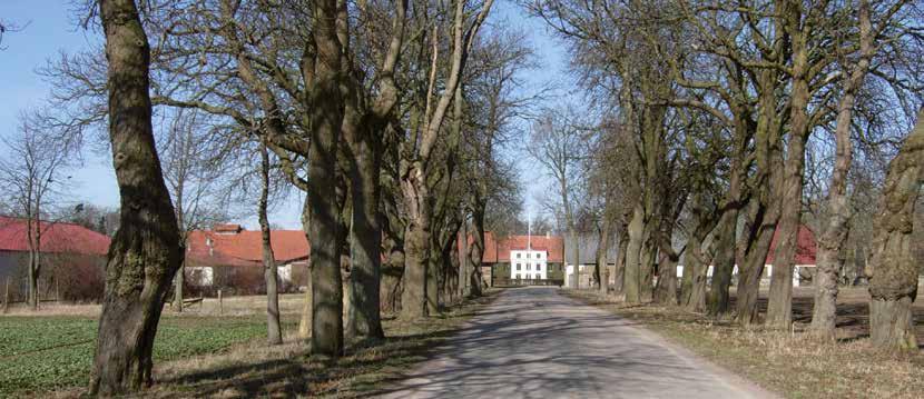 Gårdens äldre ekonomilängor är byggda i tegel, korsvirke eller gråsten. Parken som omges av en hög allé och stenmurar blev anlagd under 1700-talet.