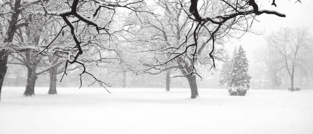 KRAFTIGA SNÖSLUNGOR SOM TAR DIG IGENOM DRIVOR, SKARE OCH VINTERKALLA DAGAR. TORO 2-STEGSSLUNGOR. Har du mycket snö att röja? Brukar det bildas stora vallar som du vill ta dig igenom?