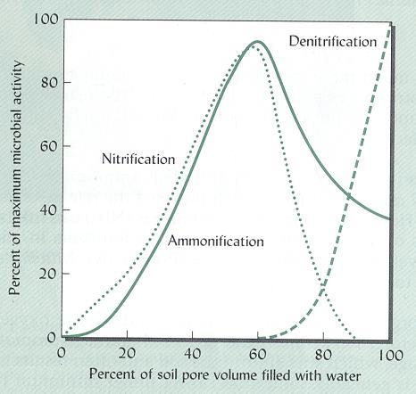 Nitrifikation eller denitrifikation beror på vattenmättnadsgraden!