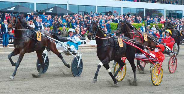 99 kr/person BEGÄNSAT ANTAL PLATSE! Pltsern måste föroks vi sekretritet@jgersro.trvsport.