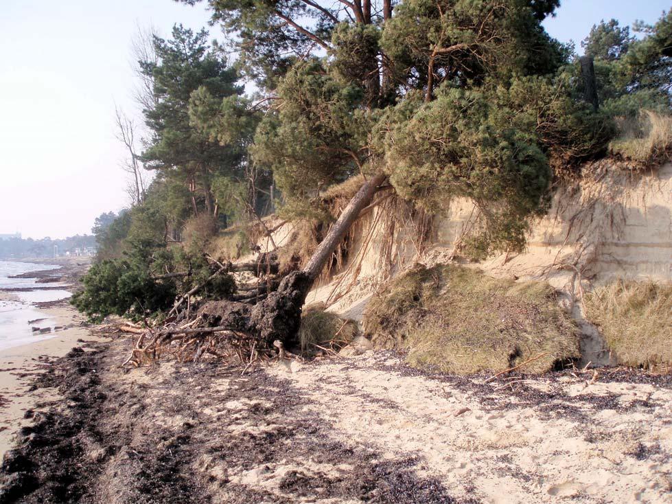 Den sandiga kusten utsätts idag för erosion på en del sträckor som