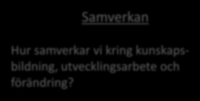 Viktiga kategorier av förutsättningar Kommunstorlek Förutsättningar Ledning/Styrning/Politiken Vilka Samverkan stora utmaningar