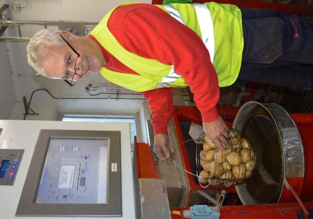 16 LYCKEBY CONCEPT ODLING #2 2018 ÅRETS SORTFÖRSÖK: Kuras har fått utmanare Sättning av Fjälkingeförsöket. FOTO: KATARINA LINDHOLM Frank Van Beelen tar stärkelseprov på de olika sorterna.