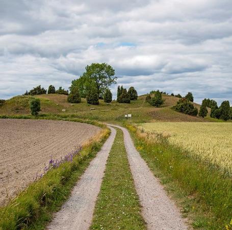 Målet med dagen Presentera DAP och den framtida arkeologiska processen