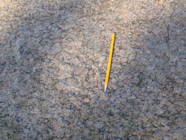 2 (14) 2 Geologi Blottat berg förekommer främst i detaljplaneområdets västra del men berg i dagen har även påträffats vid områdets norra gräns, se planritning i Bilaga 2.