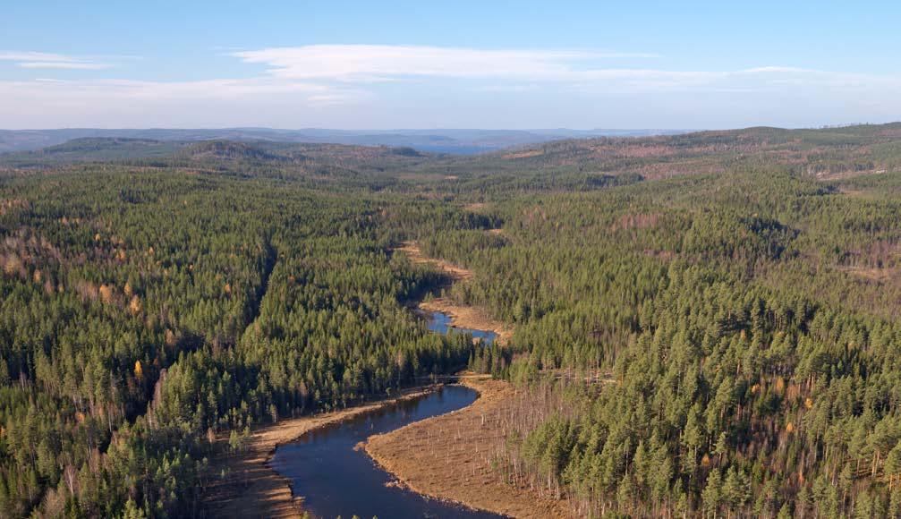 Introduktion Strategi & verksamhet Förvaltningsberättelse Finansiella rapporter Hållbarhetsfakta Övrigt Substitution för ökad klimatnytta SCAs produkter är baserade på förnybar råvara från