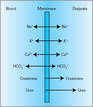 Diffusion: hemodialys - I Koncentrationsgradient över semipermeabelt membran Fick s law of DIFFUSION Effektivt för små molekyler utan
