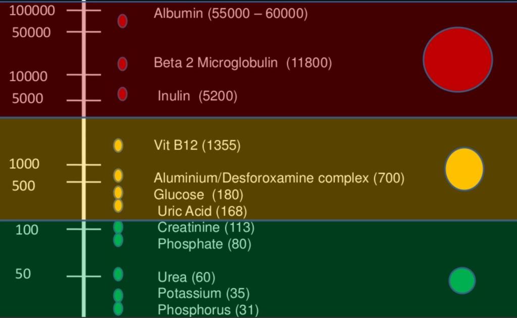 Molecular