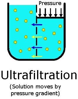 Konvektion: hemofiltration - I Tryckgradient molekyler pressas genom semipermeabelt membran Filters konfiguration bestämmer Även större partiklar kan filtreras (+uremi,