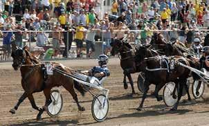 Hästskötre: Augusto Berghetti ADIAGO TROT Körsven: