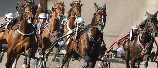 Defilering: :0 SOLVALLA // 0 0 M VOLTSTART START. VINNARE PLATS -åriga och äldre högst.000 kr. 0 m. Voltstart. Pris: 0.000-.000-9.00-.00-.00-(.00)-(.00) kr. Hederspris till segrande hästs ägare.