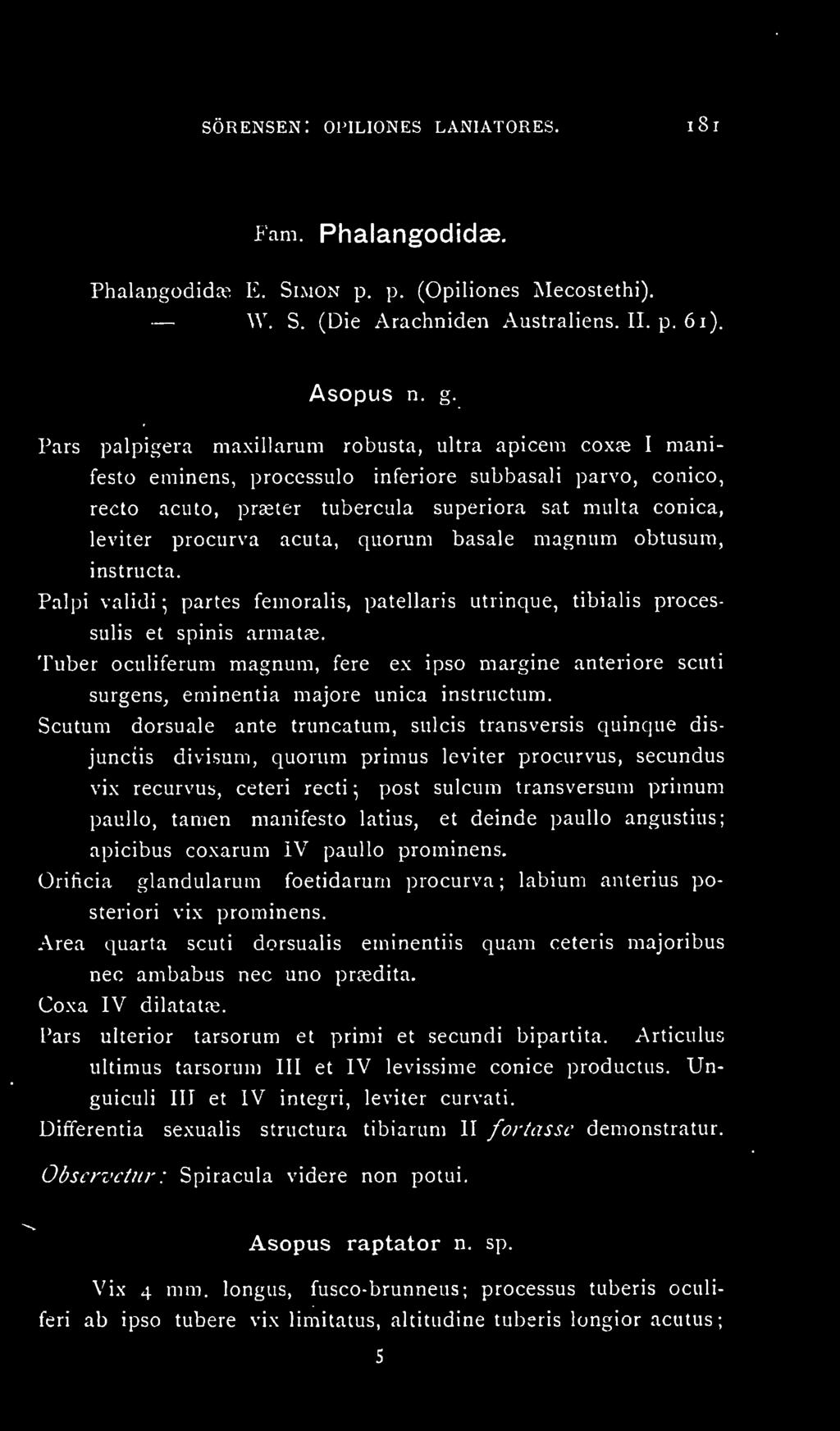 acuta, quorum basale magnum obtusum, instructa. Palpi validi ; partes femoralis, patellaris utrinque, tibialis processulis et spinis armatae.