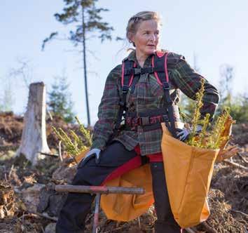 7. Lagstiftning Skogsägaren förbinder sig att följa svensk lagstiftning med betydelse för skogsbruket. Relevanta lagar hittar du i Regelrätt skogsbruk på Skogsägarnätet.