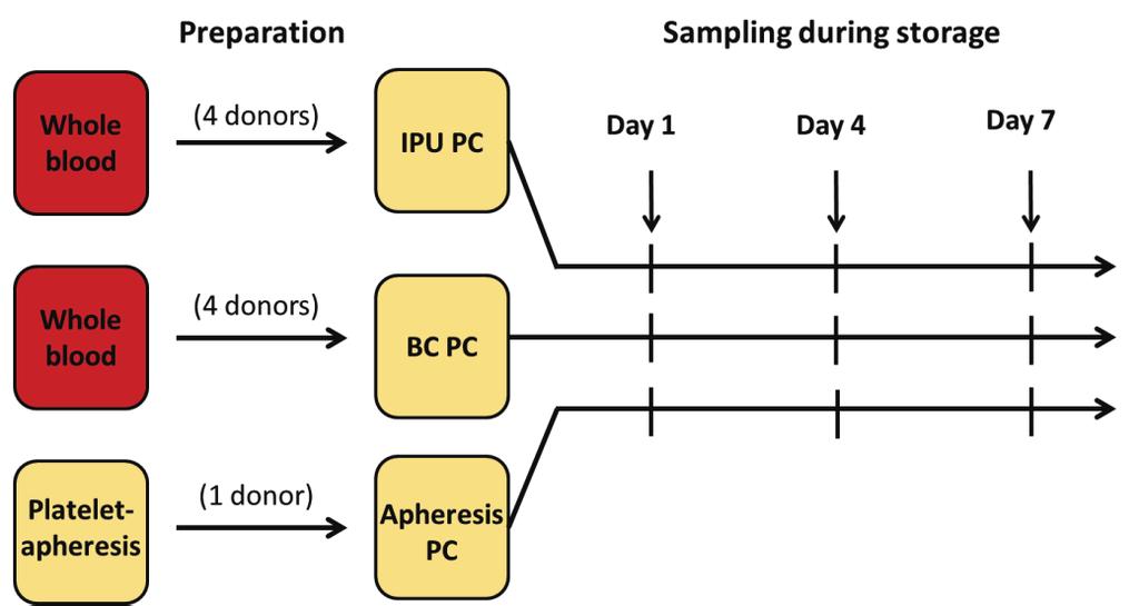 Sukhi Singh platelets/unit. The plasma carryover in the IPU concentrates was approximately 40%. Buffy-coat platelet concentrates were also prepared from whole blood donations.